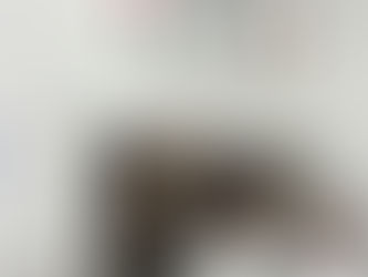 БЪДИ ГЛАСЪТ, НЕ ЕХОТО - АКТУАЛИЗАЦИЯ ДЕН 4 И 5