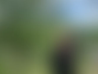 Mission Possible 2! 🌍