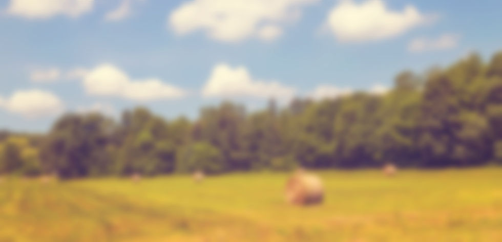 hay-bales-in-field-under-blue-skies-2026-03-26-11-35-44-utc.jpg