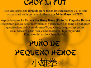 Curso fin de semana Kung Fu Choy Li Fut 2025