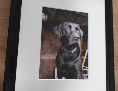 Buster of Black Dog Framing