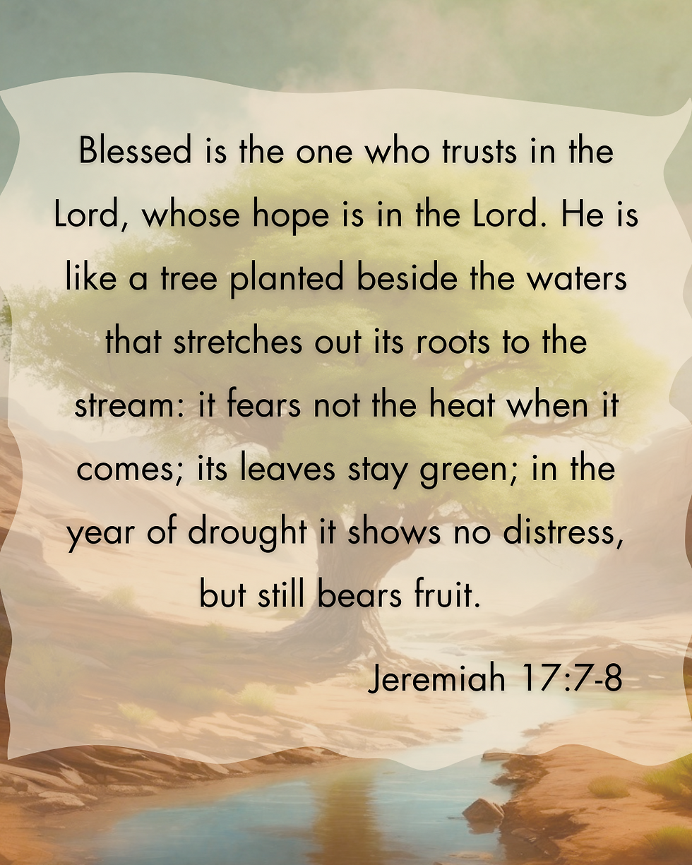 Jeremiah 17, a tree planted by waters.
