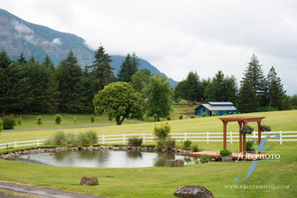 Pond View