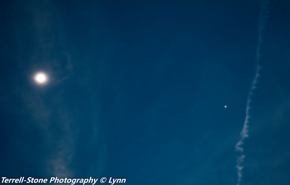 Sun on the left during totality, Mars on the right.