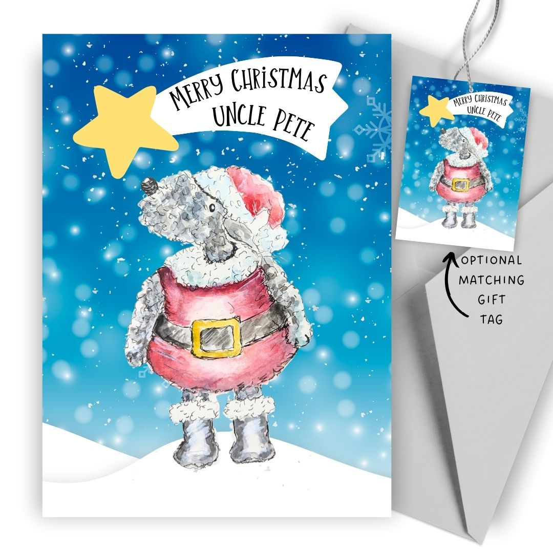 a grey curly dog wearing a santa suit, with a personalised shooting star message