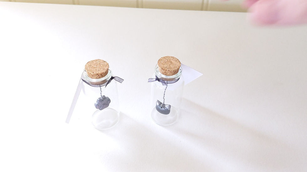 Thumbnail: Glass Bottle Keepsake, Pawprint or Cat