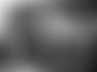 Universal Music Group, the world’s largest record company, ended a boycott of TikTok