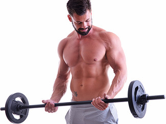 המדריך למסה, חלק א