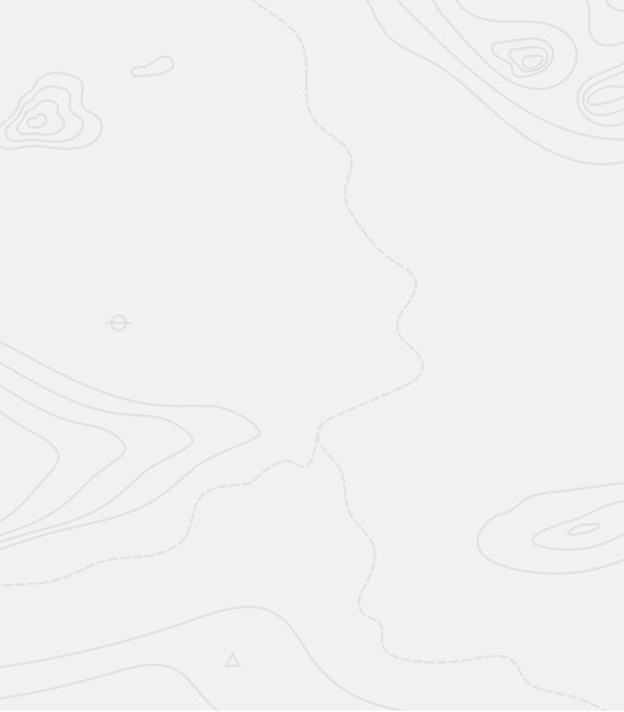 Abstrakcyjne linie topograficzne