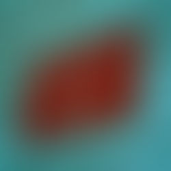 Does your Strategy Help you Say “NO” ?!