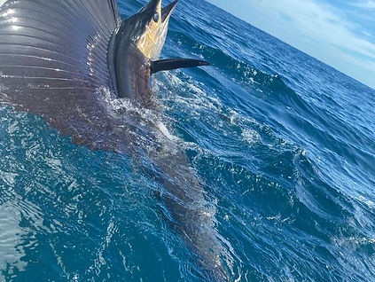 Playa Conchal fishing excursions