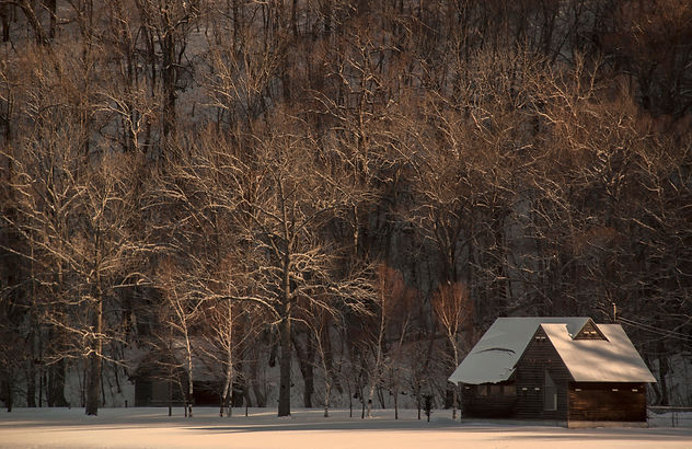 IMGP9757 copy copy copy.JPG