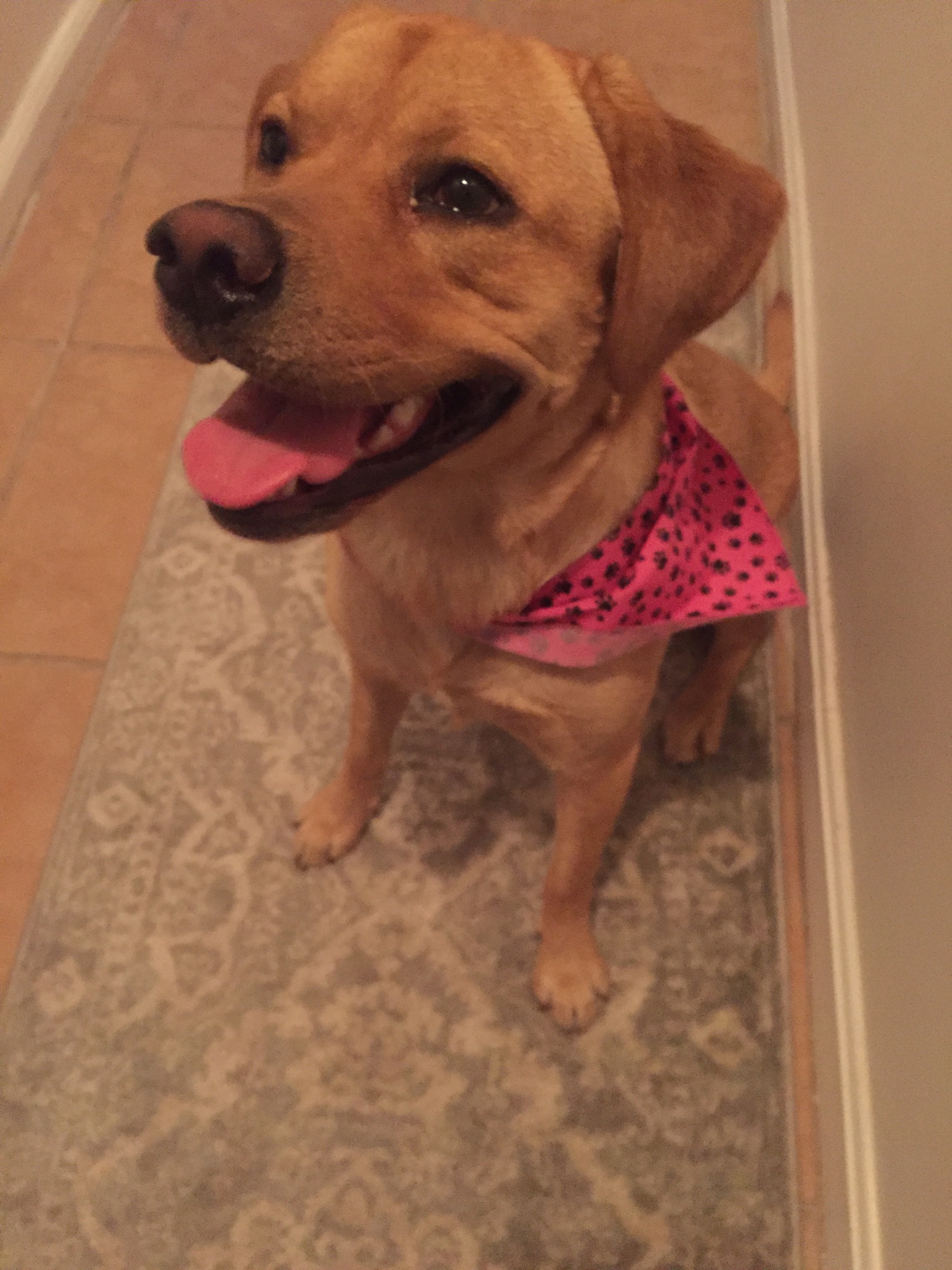 Rosie