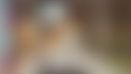 Mein Hund - dominant und ungebunden