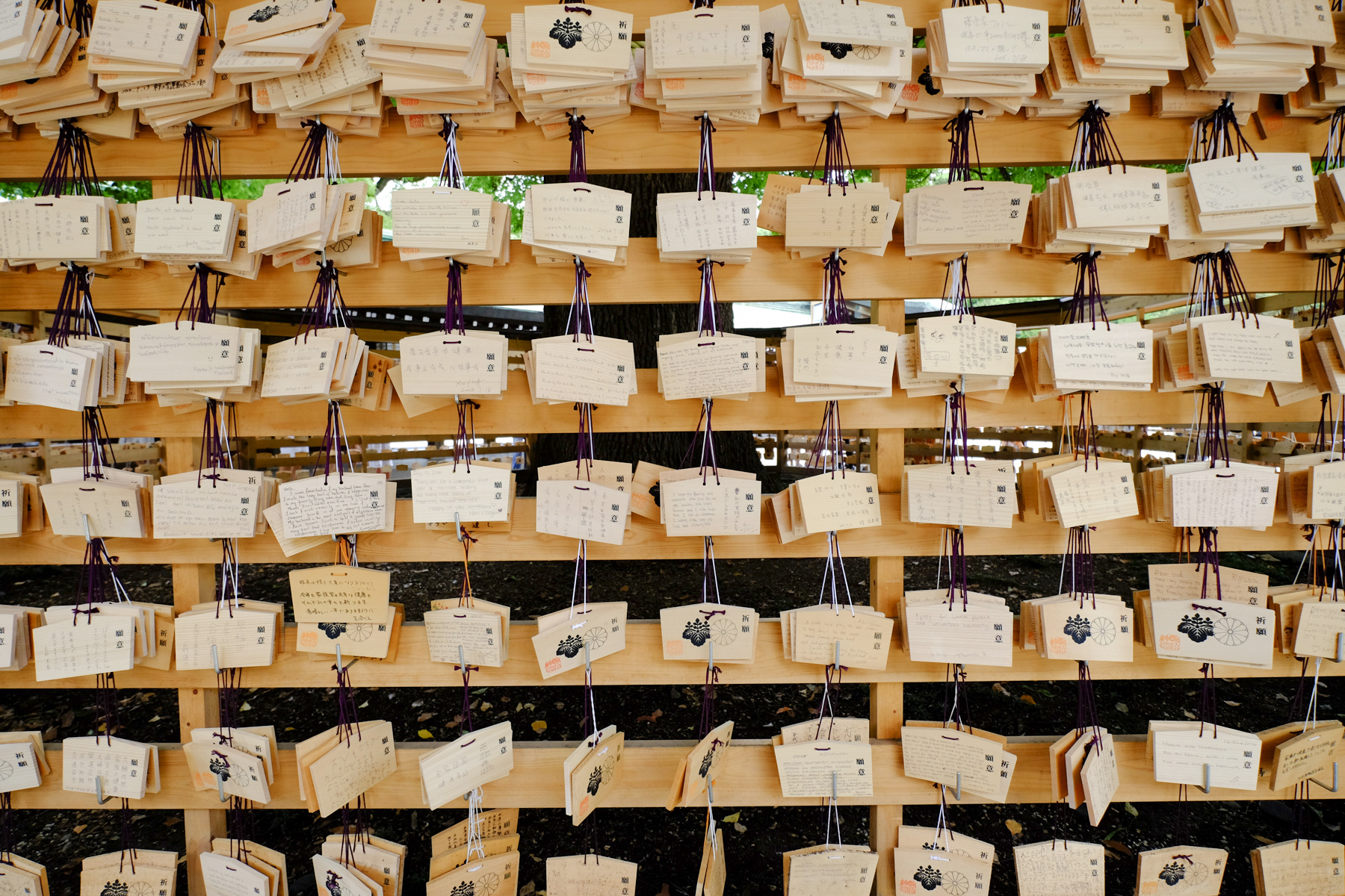 Meiji Shrine