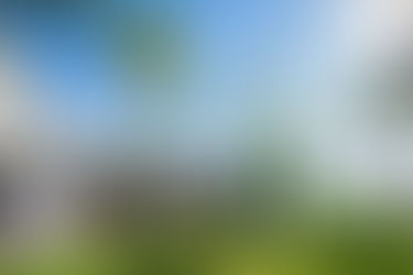 Danielle and Digger - 11 Years and 8 Days!!!