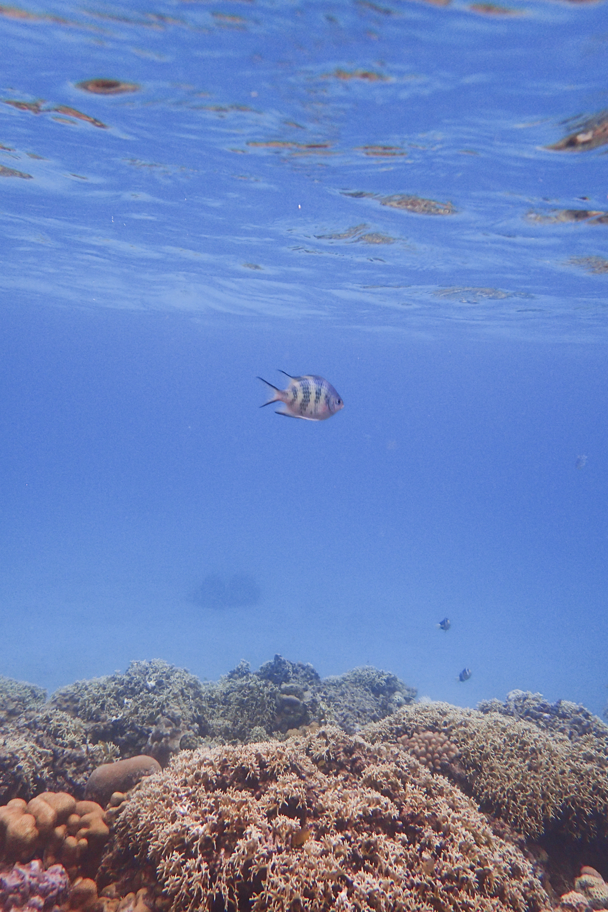 Furuzamami Beach, Zamami Island