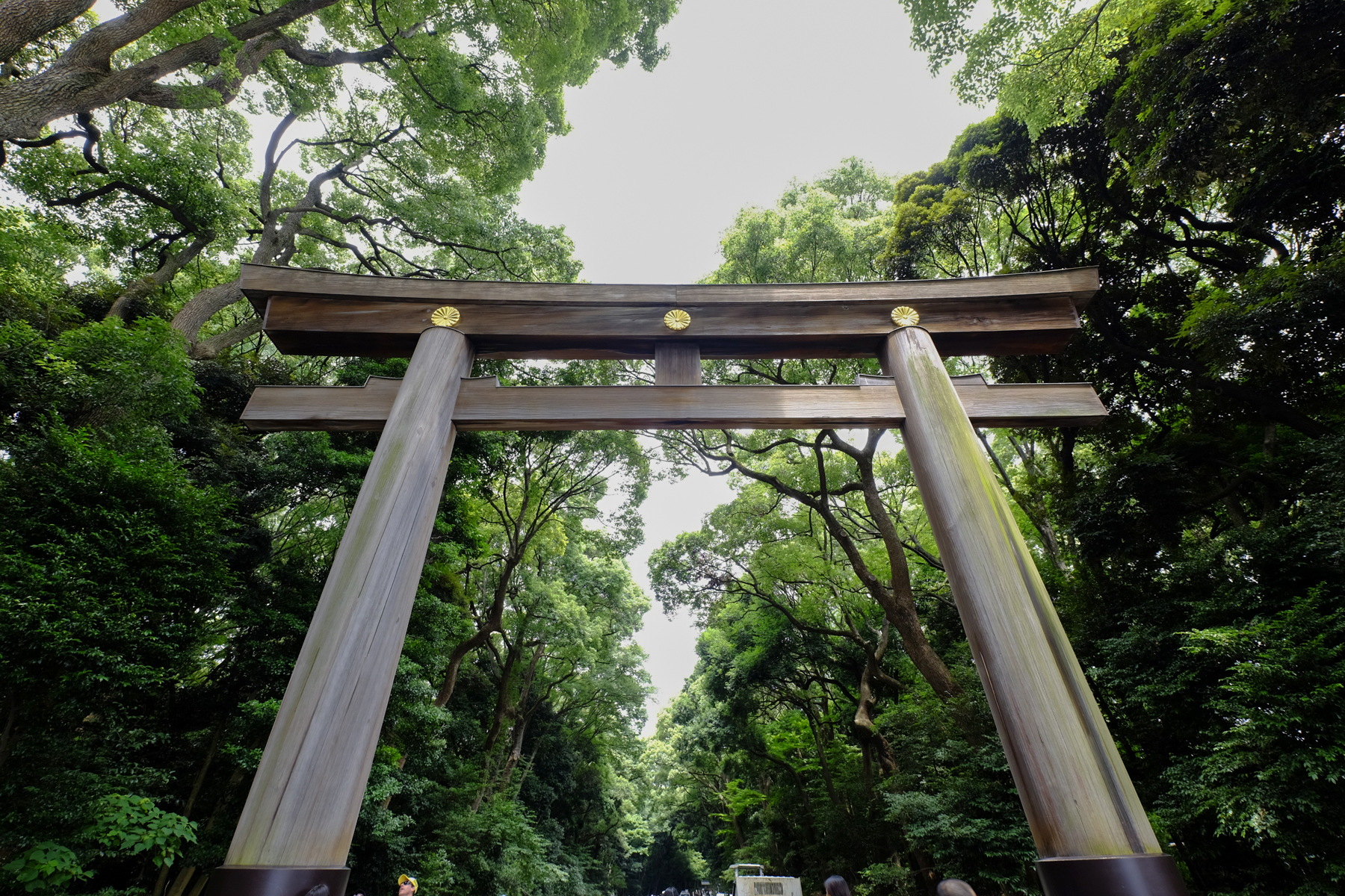 Meiji Shrine