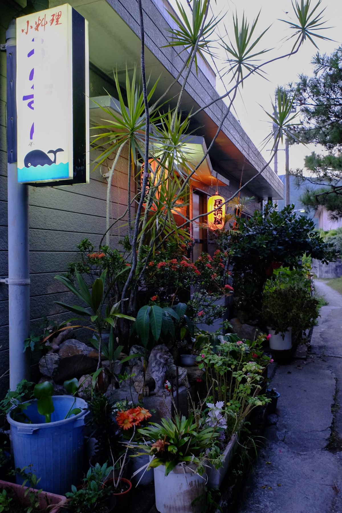 Zamami Island