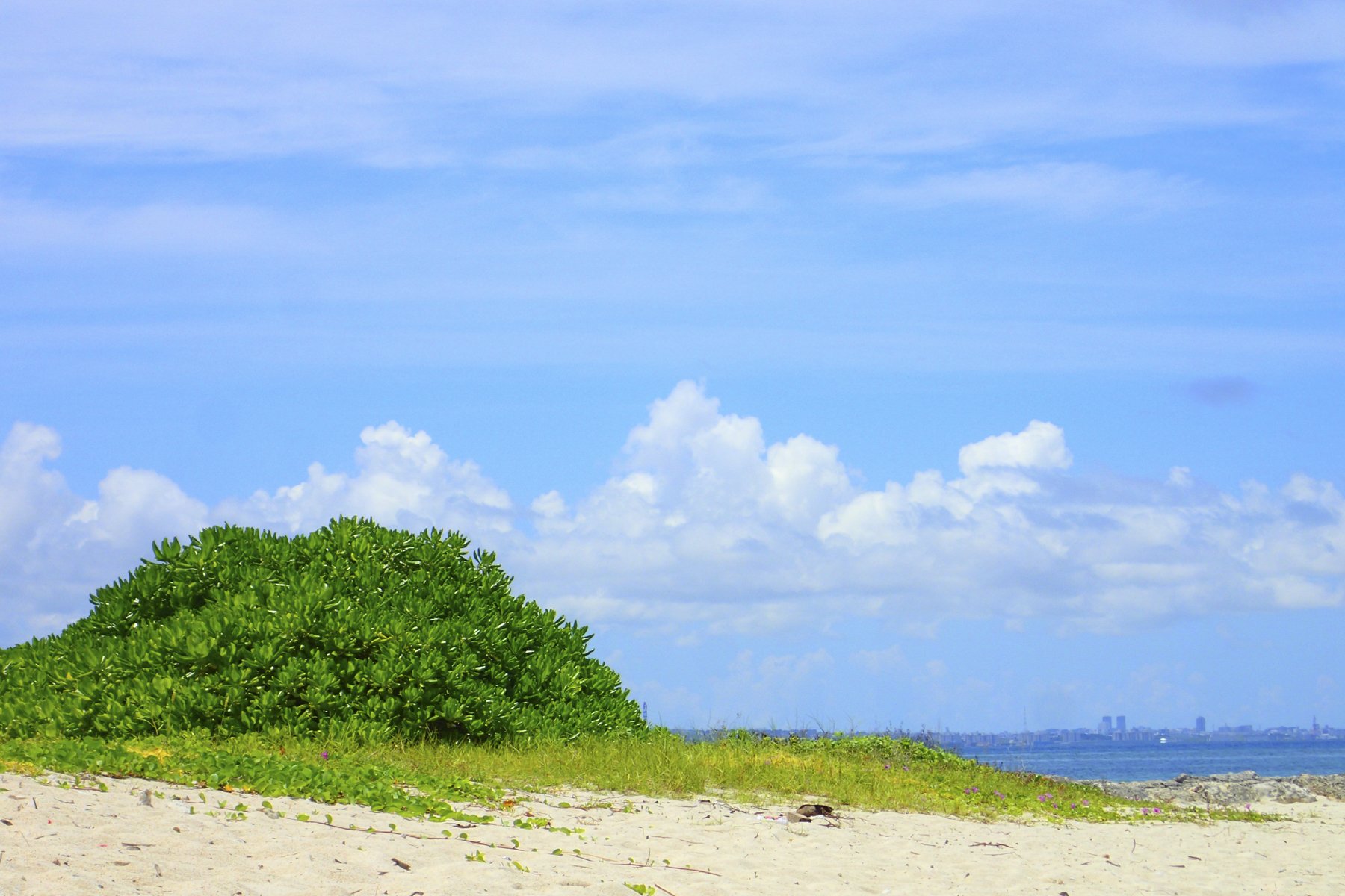 Okinawa