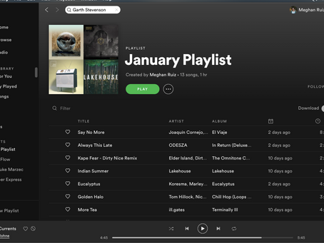 Art Of Making A Playlist