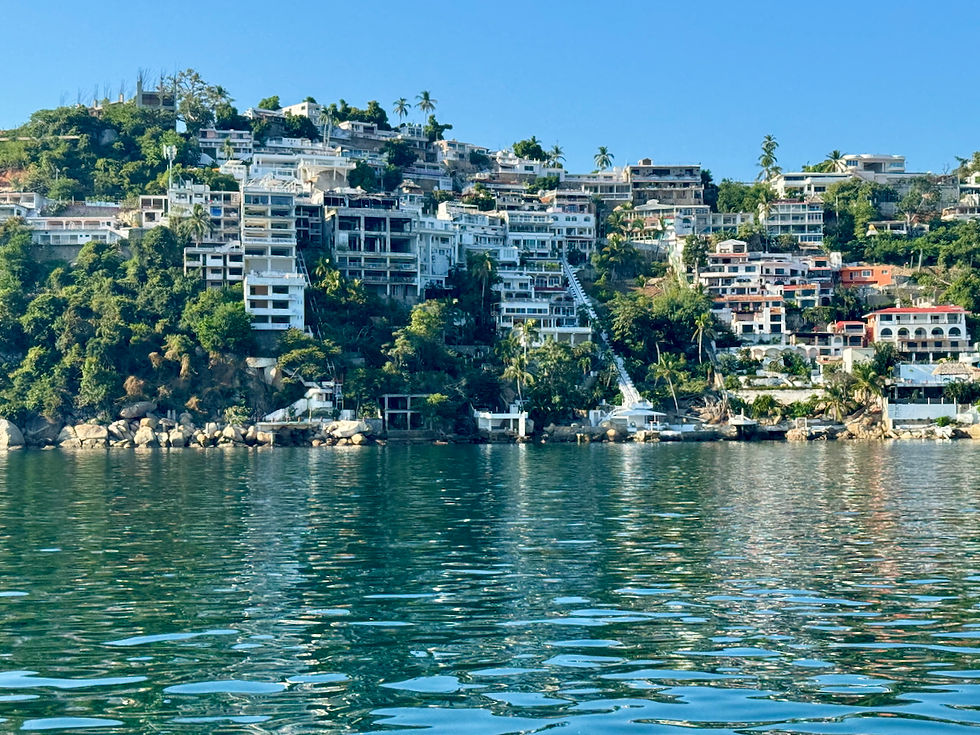 Cliff side homes and hotels all in various states of repair in Acapulco