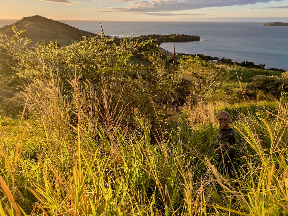 Overlooking Volivoli Bay