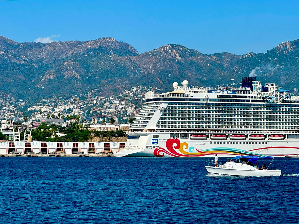 One of the few cruise ships entering Acapulco this year