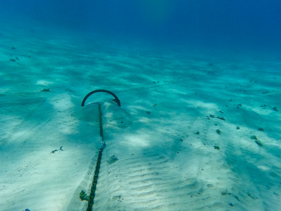 The anchor set in some lovely sand