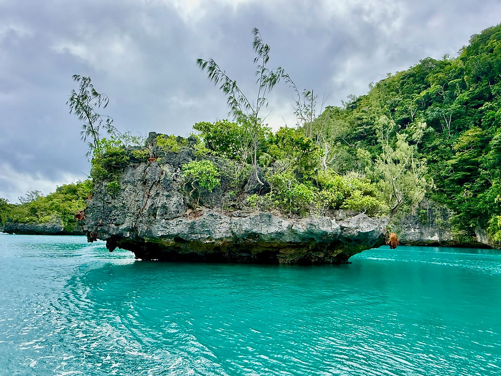 A perfect mushroom shaped island in the Bay of Islands, orange rocks appeared to be rock with oxidized iron ore