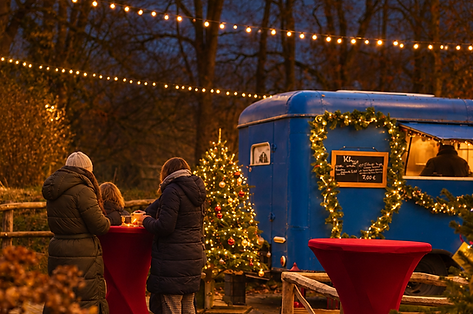 zoobistro-markt-abend-02.png