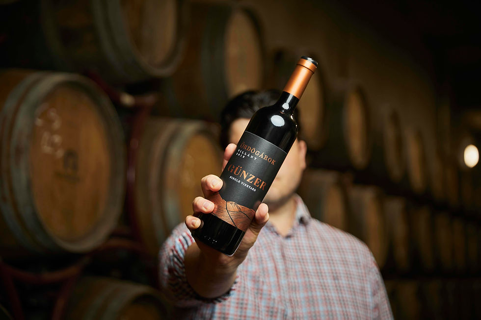 Klubtagsági rendszerek bemutatása