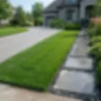 Landscape photography of a manicured residential lawn with a stone paver path leading to a house. The scene is bright and highlights clean, professional exterior design.