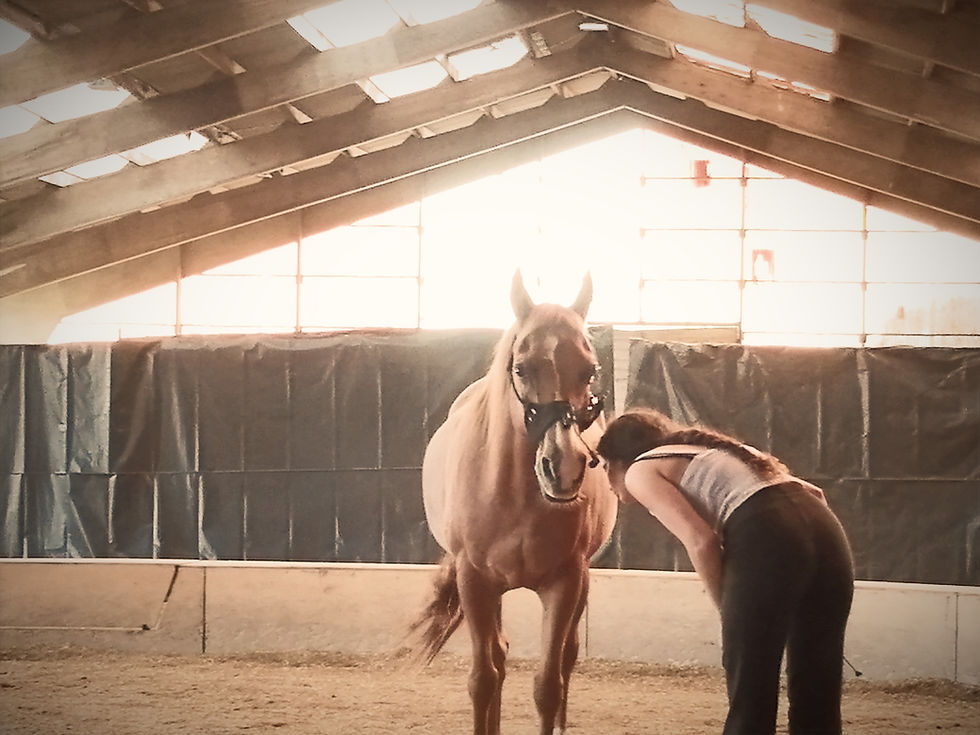 Rencontre avec Charlène Dray et ses poussins