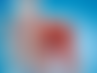 Musculoskeletal Health: Supporting Muscles, Joints, and Structural Strength Naturally