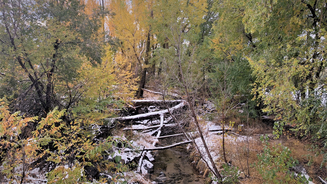 Gif fall pictures.gif