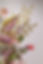 022022-tamaracastelo-6529.jpg