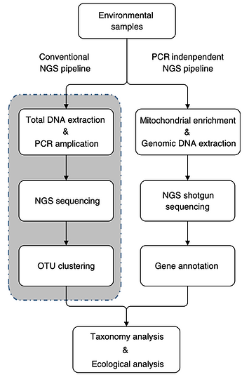 PCR-free genome-skimming pipeline