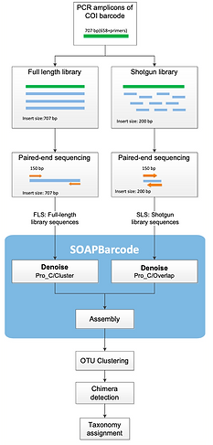 SOAPBarcode reconstructs full-length DNA barcodes from bulk amplicon sequencing data.