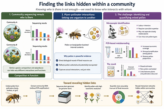 Pollen reveals hidden plant–pollinator interactions: challenges and opportunities