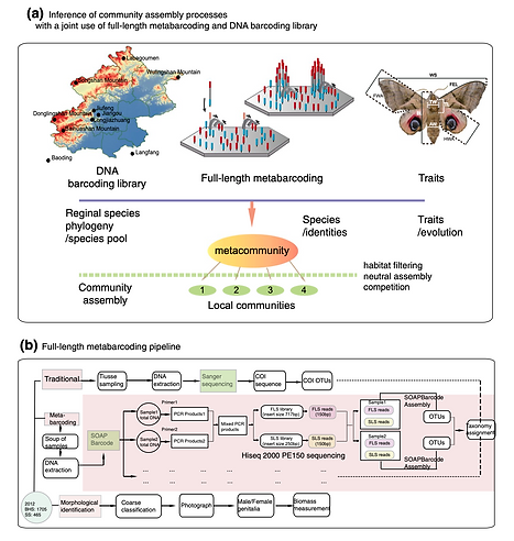 Full-length metabarcoding extends biodiversity surveys from identifying species to revealing the ecological and evolutionary processes that shape community assembly.