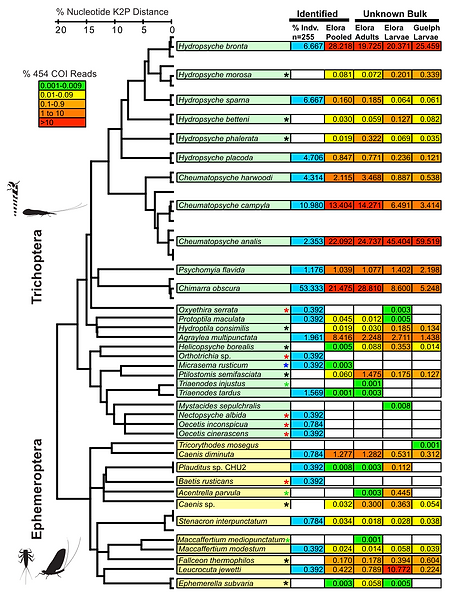COI metabarcoding reveals community composition of freshwater systems