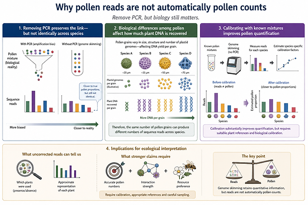 Sequence reads must be calibrated to estimate pollen abundance.