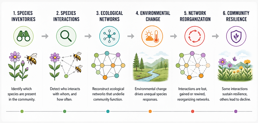 From species inventory to community resilience