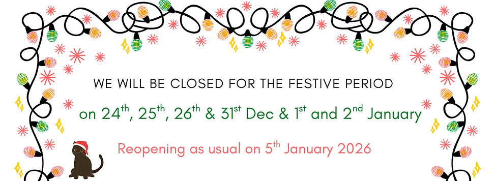 Green Coral and Black Playful Christmas Email Signature (4).png