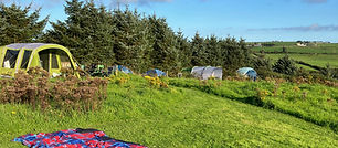 Tent Pitches