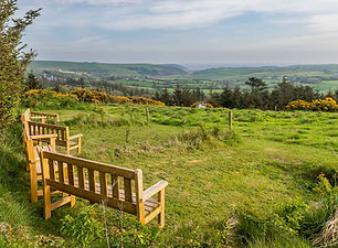 Panoramic Views