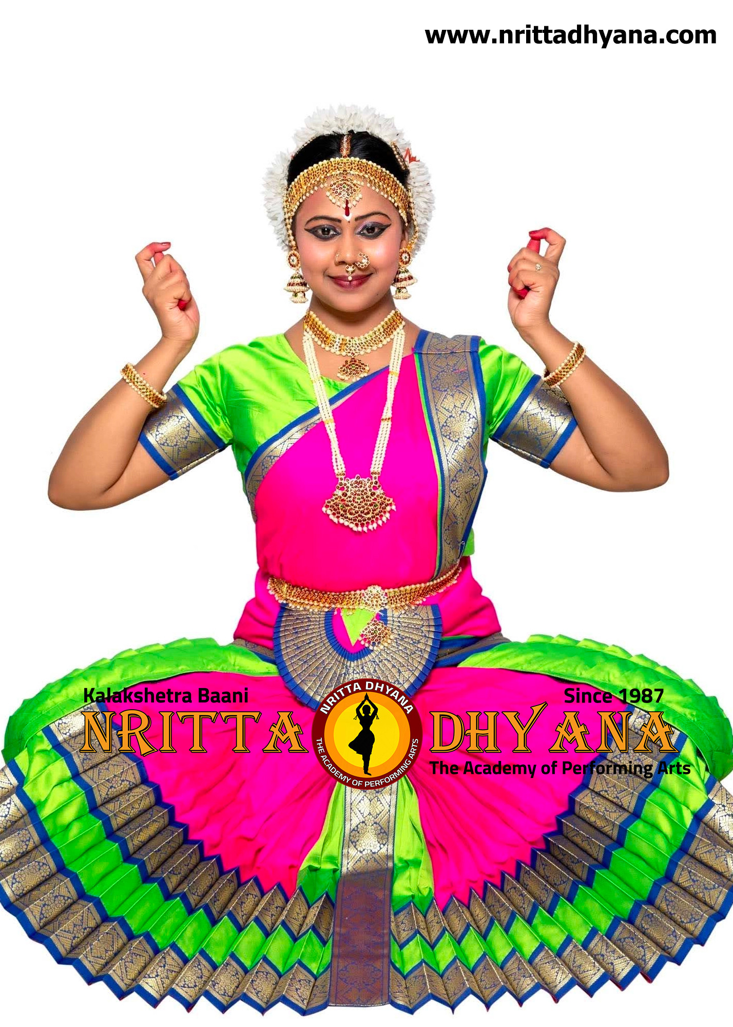 Bharatanatyam Costume: Sun Pleat | Parrot Green , Blue and Pink