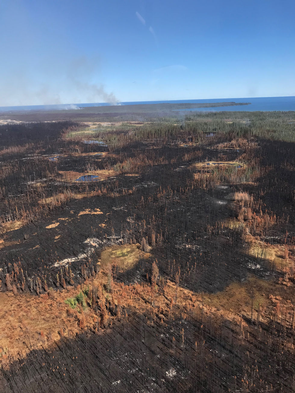 A landscape image of burned bog with patches of charred peat interspersed with unburned vegetation