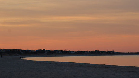 IMG_4546.jpg